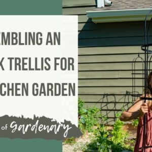 Obelisk Trellis Assembly for a Kitchen Garden