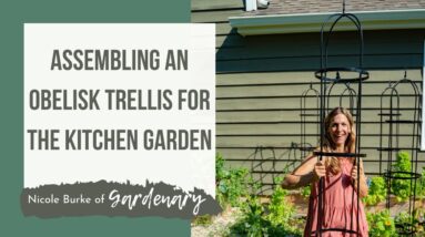 Obelisk Trellis Assembly for a Kitchen Garden