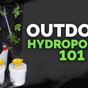 Outdoor Hydroponics Basics: Avoid These Mistakes
