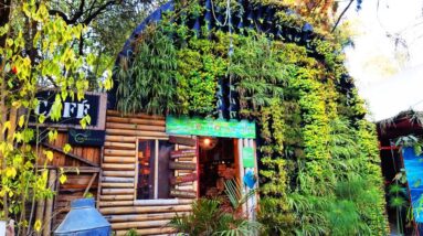 Perfect Permaculture Village In The Heart of Mexico City