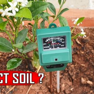 PERFECT SOIL PH: 10 Natural Ways to Achieve Ideal PH for Plants
