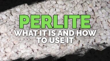 Perlite: What It Is & How To Use It In Your Garden