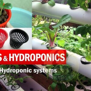 What are Net Pots and Hydroponic System explained | Benefits of Net pots in Gardening