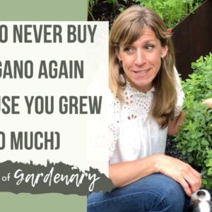 Tips on Pruning Oregano-Or How to Never Buy Oregano from the Store Again