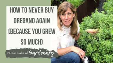 Tips on Pruning Oregano-Or How to Never Buy Oregano from the Store Again