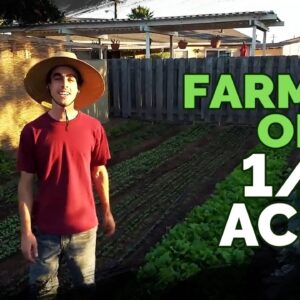 Quitting Your Job To Farm on a Quarter Acre In Your Backyard?