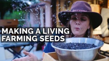 Quitting Your Job to Start a Seed Farm: 3 Year Update