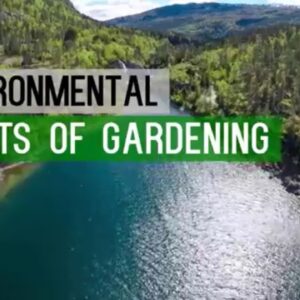 HAPPY World Environment Day (WED) | GARDENING Benefits - GO GREEN - Save Earth - Start Gardening!