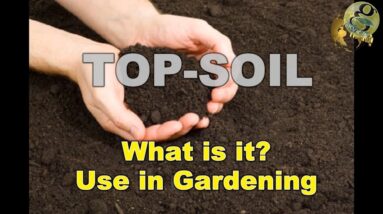 WHAT IS TOPSOIL - Use it for Successful Gardening | Top-soil Sub-soil Garden Soil Explained