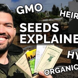 SEEDS EXPLAINED: Heirloom, Hybrid, Organic, and GMO Seeds 🌰