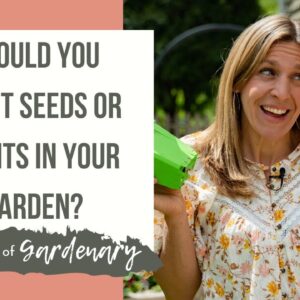 Should You Plant Seeds or Plants in Your Garden?