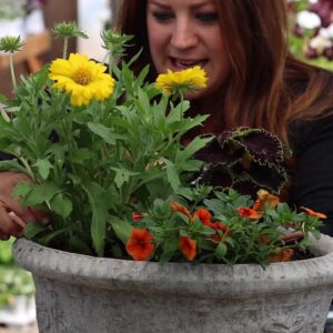 Simple Container Garden Ideas to Try, Part 1