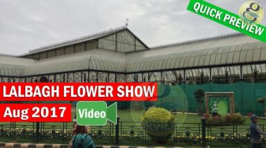 Recent Lalbagh Flower Show August 2017 Independance day - Quick Preview Video