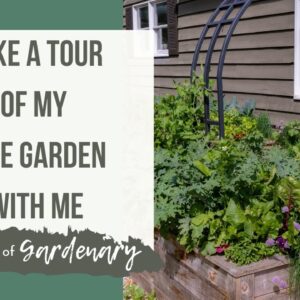 Take a Tour of My June Garden With Me