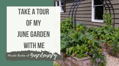 Take a Tour of My June Garden With Me