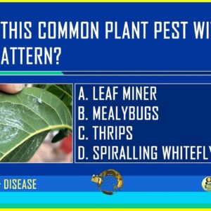 TAKE THIS QUIZ ON COMMON GARDEN PESTS