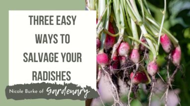 Three Easy Ways to Salvage Your Radishes