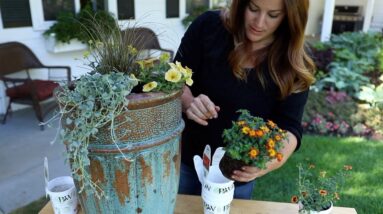 Time to Add A Touch of Fall Color At Your Home