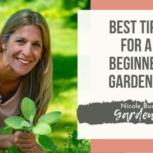 Tips for a Beginner Gardener