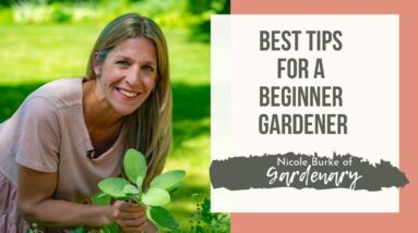 Tips for a Beginner Gardener