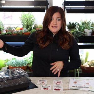 Tomato and Pepper Seed Planting Tips