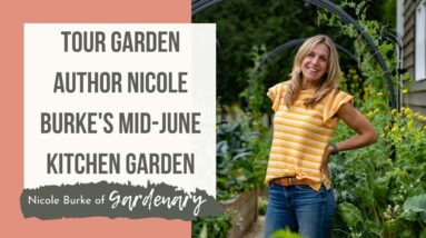 Tour Garden Author Nicole Burke's Mid-June Kitchen Garden