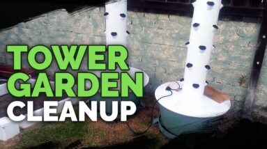 Tower Garden: Cleanup and Post Harvest