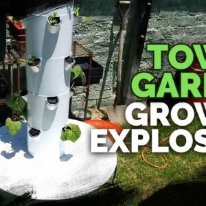 Tower Garden Insane Plant Growth