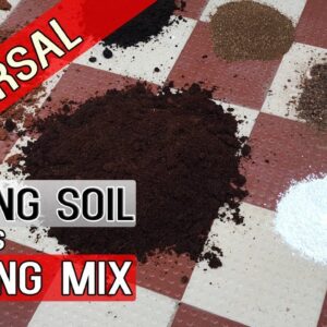 UNIVERSAL Potting Soil vs Potting Mix Differences | How to Make Best Potting Mixture for Plants