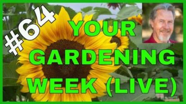 Weeds, Blooms, & Watering (Q & A)