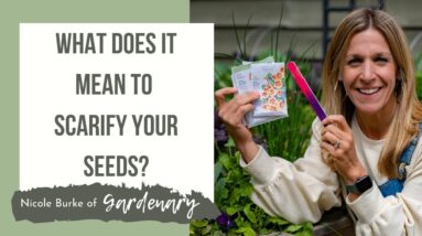 What Does It Mean to Scarify Your Seeds?