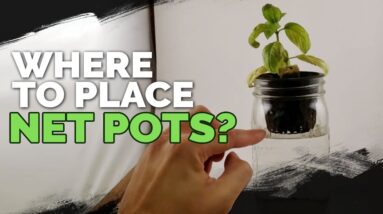 Where Should You Place Your Net Pots in a Deep Water Culture System?
