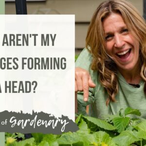 Why Are My Cabbages Not Forming Heads with Nicole Burke of Gardenary