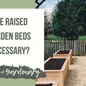 Why I Recommend Gardening in Raised Garden Beds for a Kitchen Garden