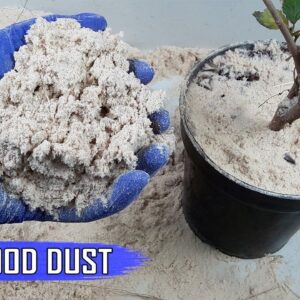SAW DUST (WOOD DUST) For Plants and Gardening | The NITROGEN STEALING CONCEPT & Hacks