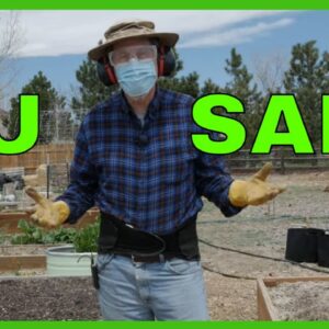 Your Safety in the Garden (21 Tips)