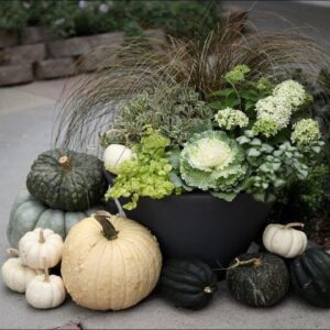 An Elegant Container for Fall, or Anytime!