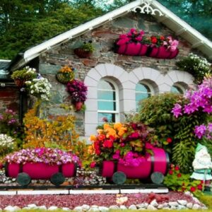 Beautiful Small House With Garden Designs | Mini Garden Ideas