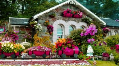 Beautiful Small House With Garden Designs | Mini Garden Ideas
