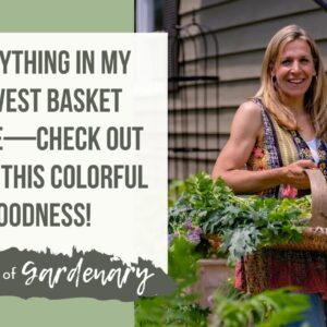 Everything in My Harvest Basket in June—Check Out All of This Colorful Goodness!