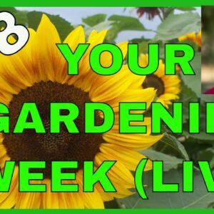Garden Planning in July (Q&A)