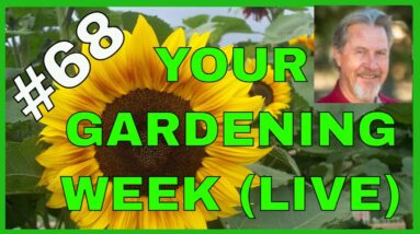 Garden Planning in July (Q&A)