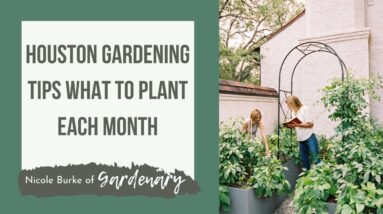 Houston Gardening Tips Learn What to Plant Each Month