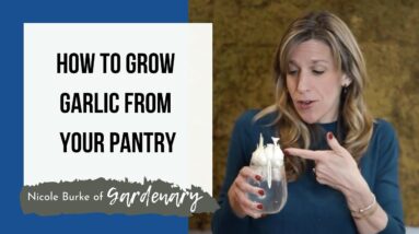 How To Grow Garlic (& Garlic Chives!) From Your Pantry