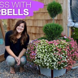 How To Successfully Grow Superbells