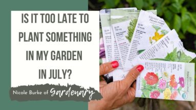 Is It Too Late to Plant Something in My Garden in July?