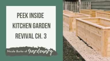 Kitchen Garden Revival Sneak Peek of Chapter Three With Nicole Burke