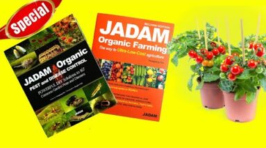 JADAM’S ULTRA-LOW-COST ORGANIC FARMING TECHNIQUES – NATURAL FERTILIZERS AND PESTICIDES