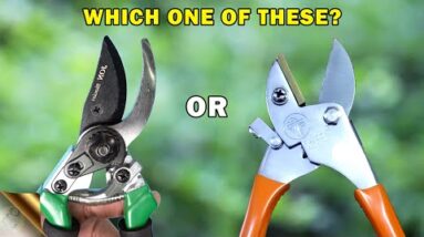 WHICH PRUNER TO CHOOSE AND FOR WHAT? | 8 TYPES OF TRIMMERS OR CUTTING TOOLS FOR YOUR GARDEN