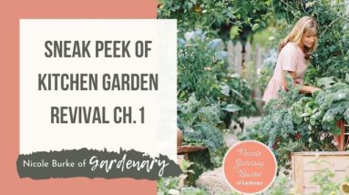 Sneak Peek of Kitchen Garden Revival Chapter One